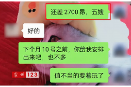 湘西为什么选择专业追讨公司来处理您的债务纠纷？